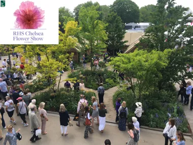 Des jardins de démonstration agrémentés de pavés en terre cuite Vande Moortel médaillés lors du RHS Chelsea Flower Show