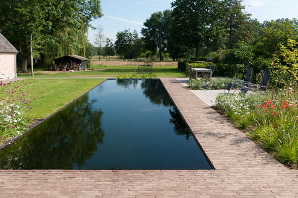 Un jardin paysager somptueux avec un étang de baignade entouré de pavés en terre cuite bruns