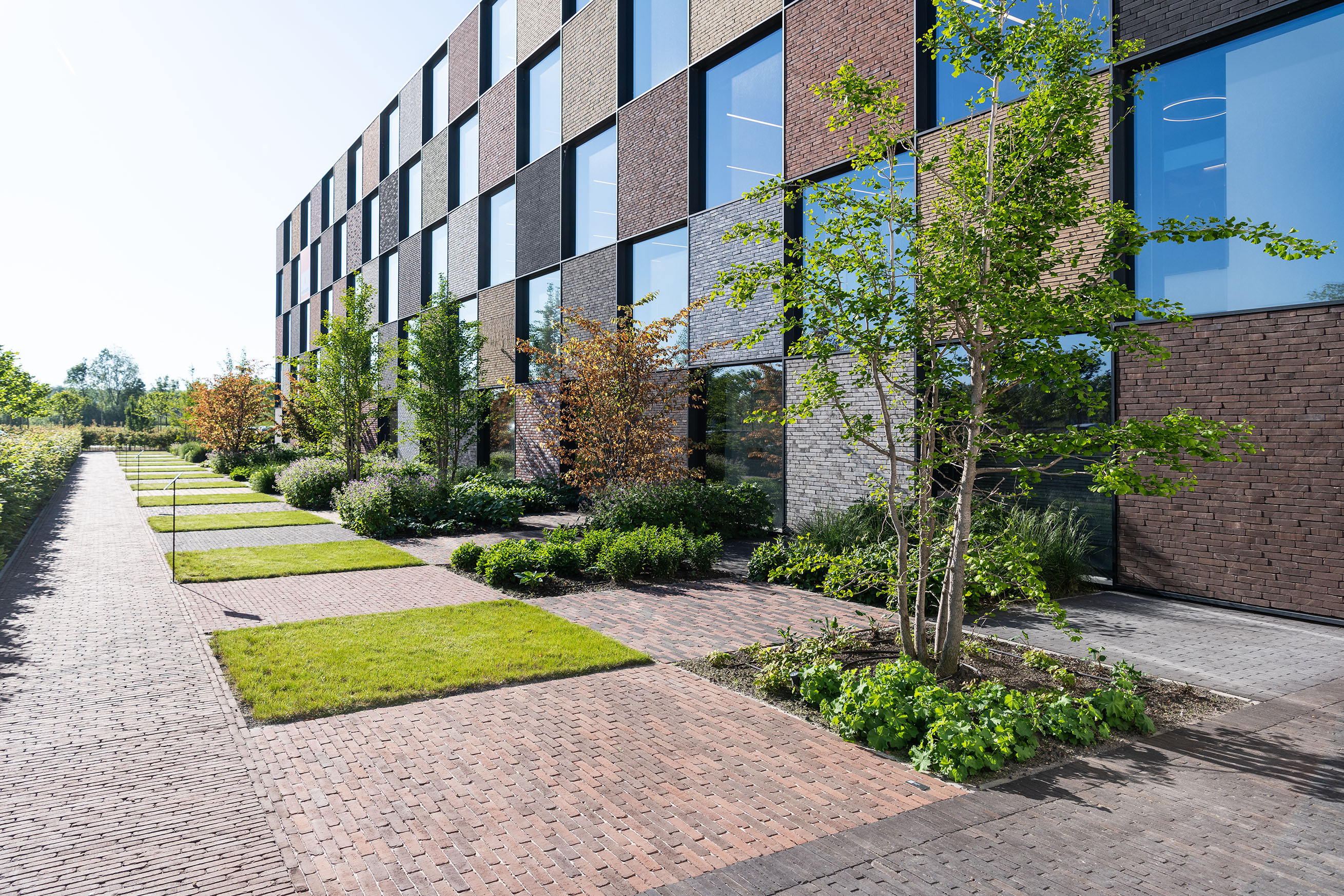 Bienvenue dans l'espace extérieur résilient de la Briqueterie Vande Moortel