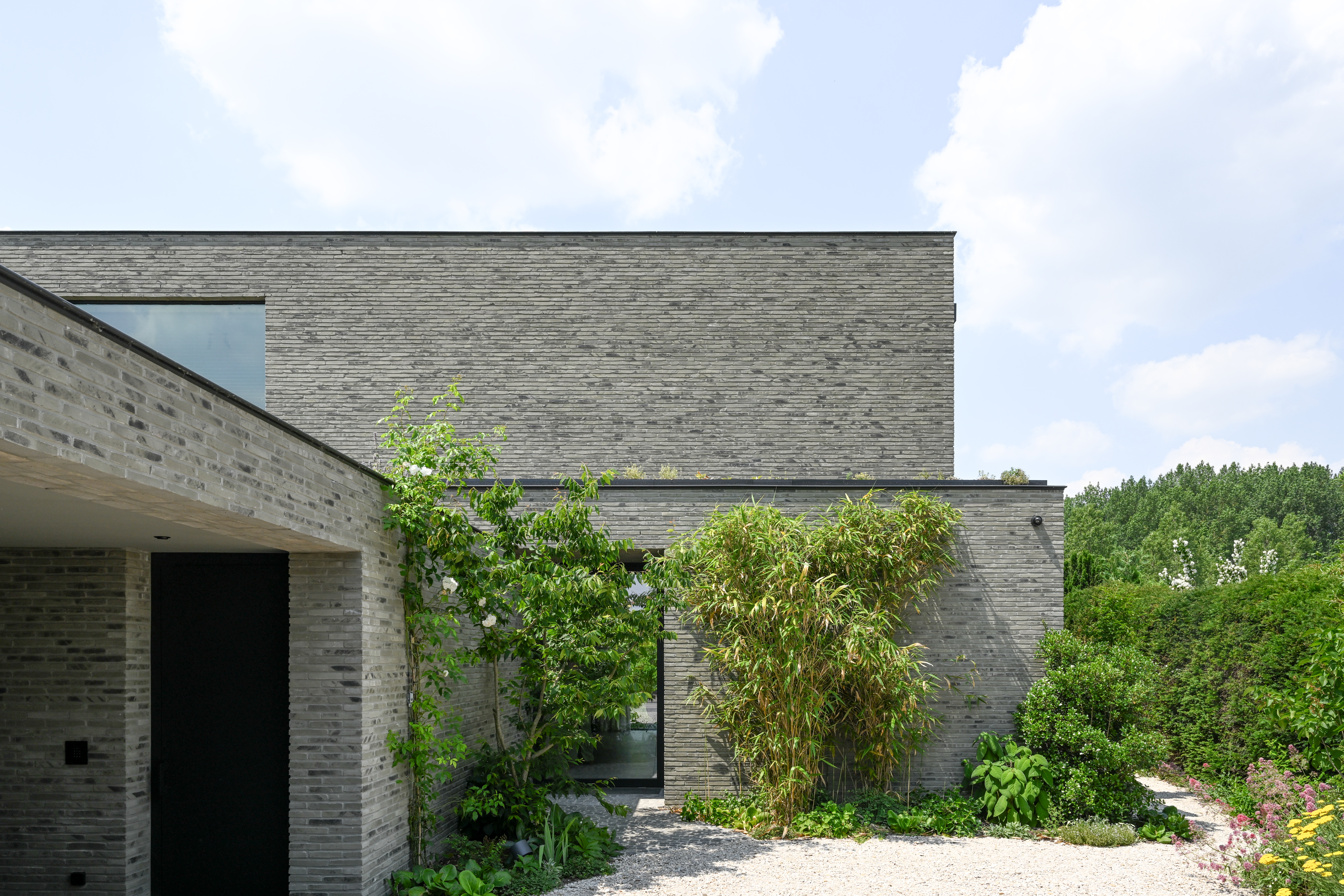 Symbiose de l'architecture et de la nature : une habitation comme paysage vivant