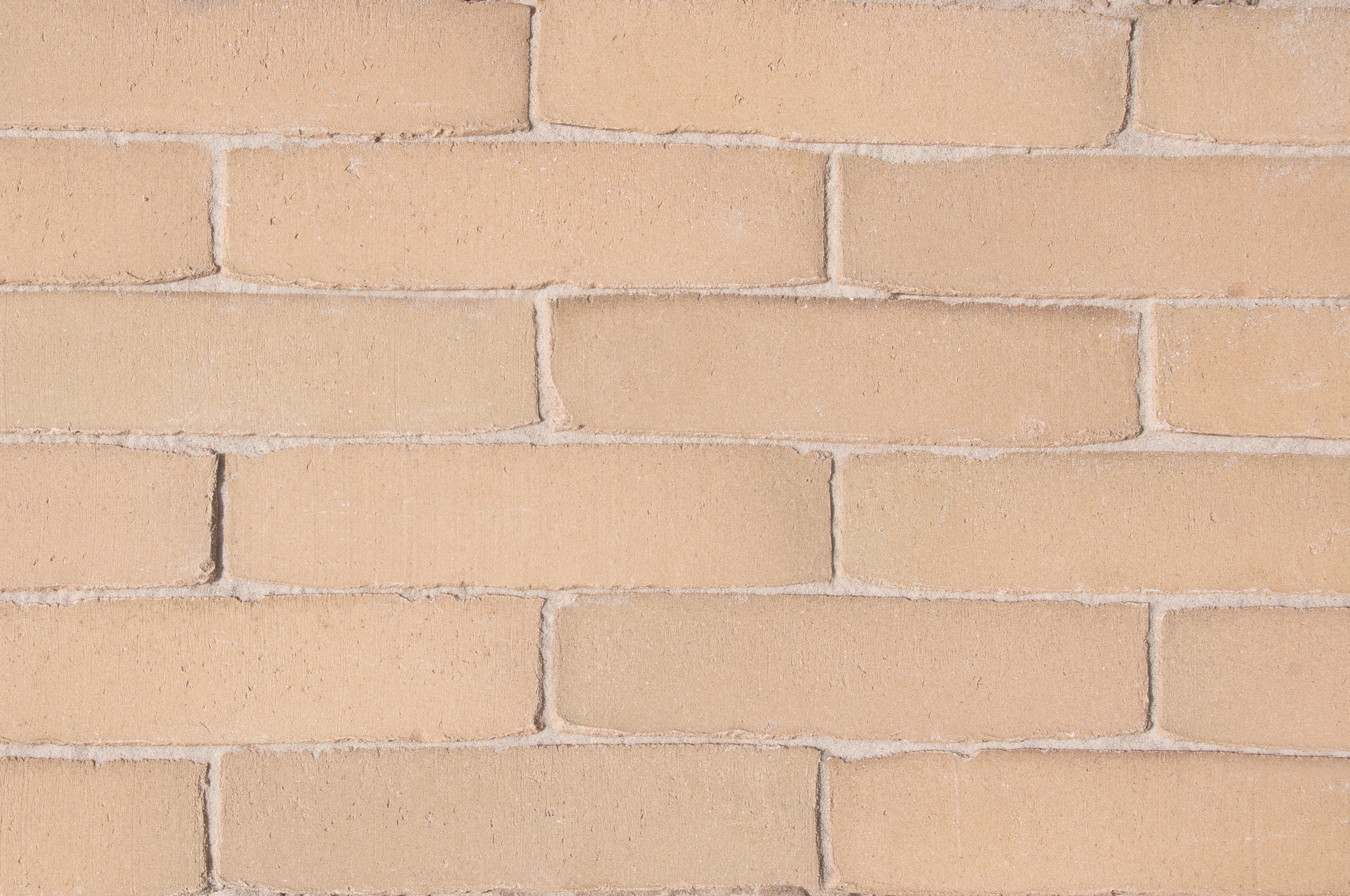 SeptimA SeptimA Vanille