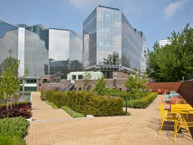 Un chef-d'œuvre vert au cœur urbain d'Utrecht : le jardin sur le toit de Rabobank