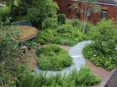 Une oasis de récupération et de résilience pour le jardin de l'entrée principale de la clinique Brookside