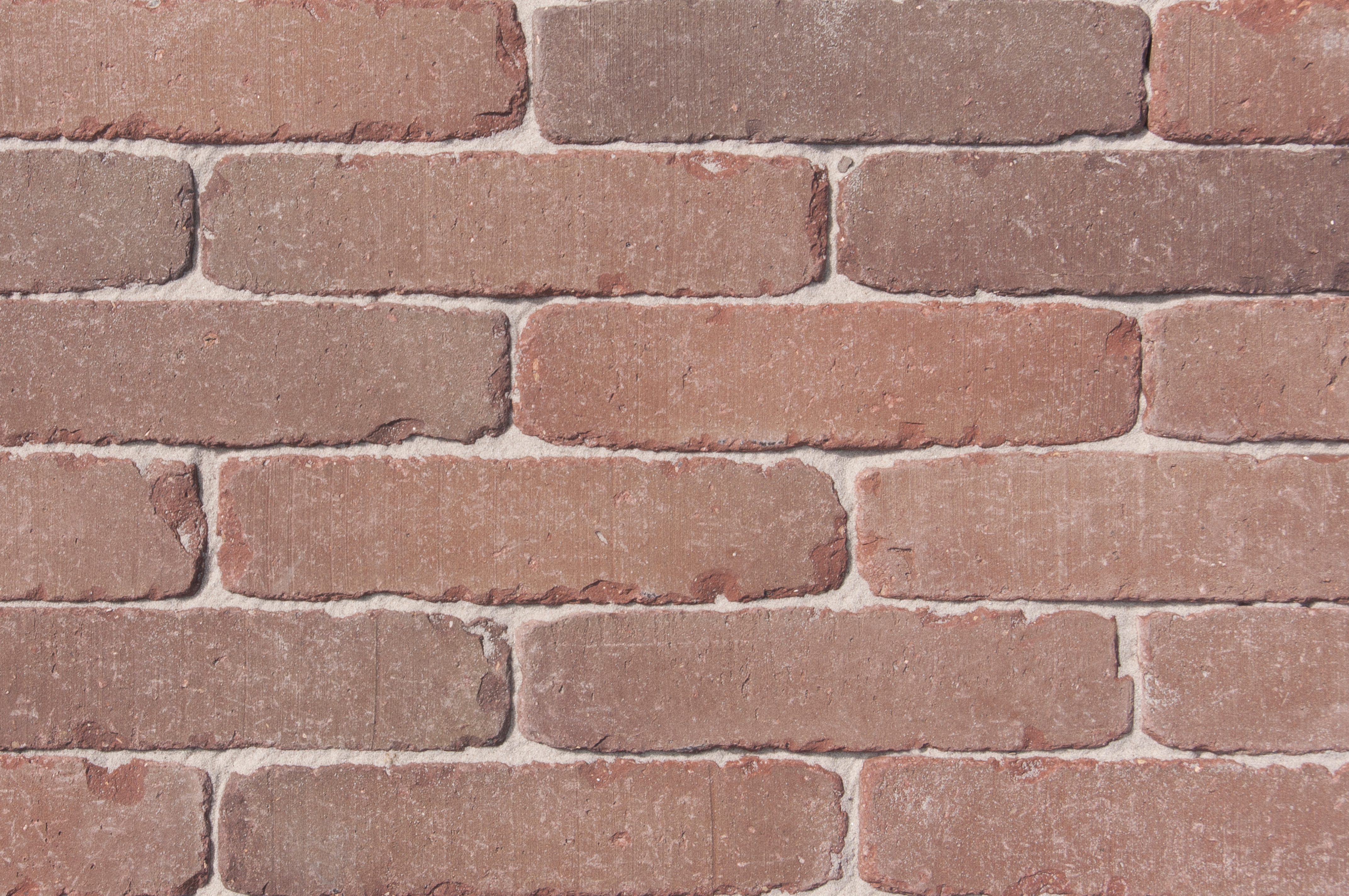 SeptimA SeptimA Acajou